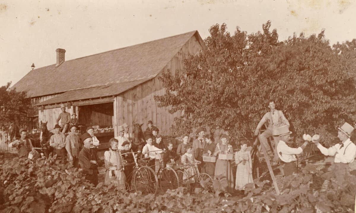 Fennville Farm Life